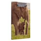 Gettyのイメージ|の象及びベビー クリップボード (右)