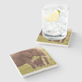 Gettyのイメージ|の象及びベビー ストーンコースター (横)