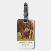 Gettyのイメージ|の象及びベビー ラゲッジタグ (裏面縦)