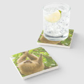 Gettyのイメージ|の逆さまの怠惰 ストーンコースター (横)