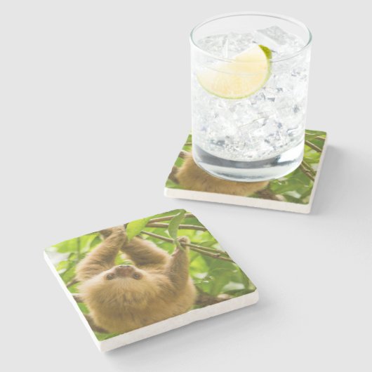 Gettyのイメージ|の逆さまの怠惰 ストーンコースター (横)