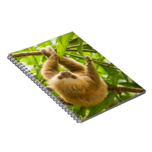 Gettyのイメージ|の逆さまの怠惰 ノートブック (右側)