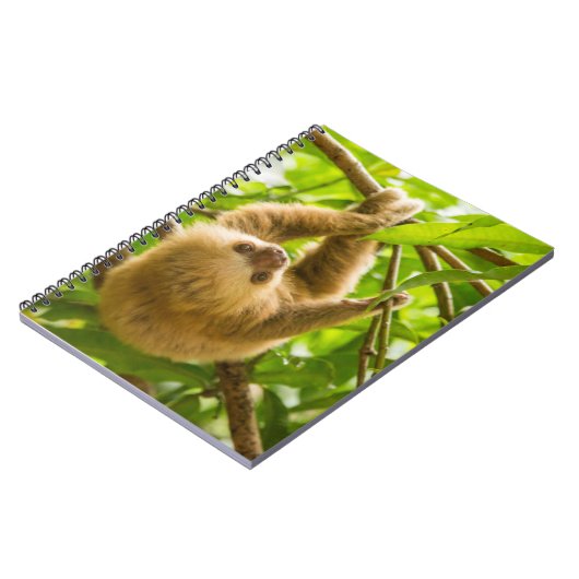 Gettyのイメージ|の逆さまの怠惰 ノートブック (左側)