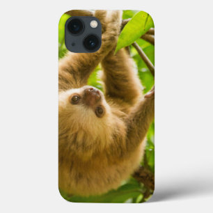 Gettyのイメージ の逆さまの怠惰 iPhone 13ケース