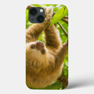 Gettyのイメージ の逆さまの怠惰 iPhone 13ケース