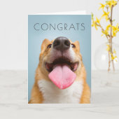 Gettyのイメージ|の非常に幸せなコーギー カード (黄色い花)