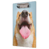 Gettyのイメージ|の非常に幸せなコーギー クリップボード (左)