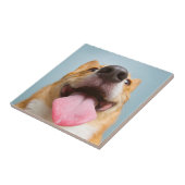 Gettyのイメージ|の非常に幸せなコーギー タイル (側面)