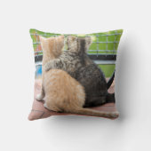 Gettyのイメージ|バルコニーの2匹の子ネコ クッション (裏面)