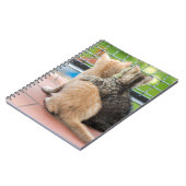 Gettyのイメージ|バルコニーの2匹の子ネコ ノートブック (左側)