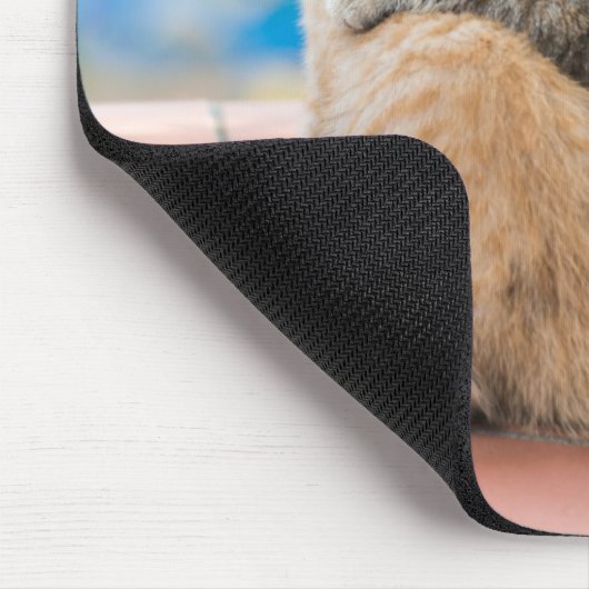 Gettyのイメージ|バルコニーの2匹の子ネコ マウスパッド (コーナー)