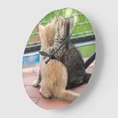 Gettyのイメージ|バルコニーの2匹の子ネコ ラージ壁時計 (傾斜)