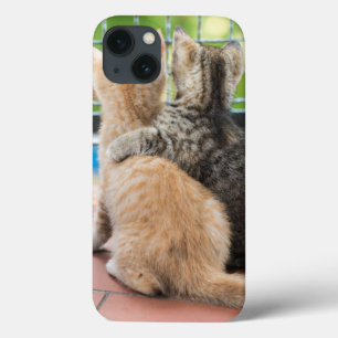 Gettyのイメージ バルコニーの2匹の子ネコ iPhone 13ケース