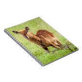 Gettyのイメージ|若いブラウンのカモシカWaterbuck ノートブック (右側)