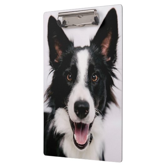Gettyのイメージ| Aの微笑のボーダーコリー クリップボード (左)