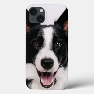 Gettyのイメージ Aの微笑のボーダーコリー iPhone 13ケース