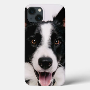 Gettyのイメージ Aの微笑のボーダーコリー iPhone 13ケース