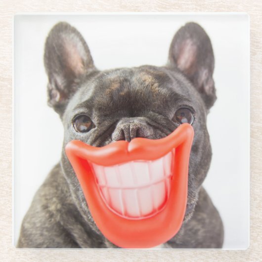 Gettyのイメージ| Aの微笑犬 ガラスコースター (正面)