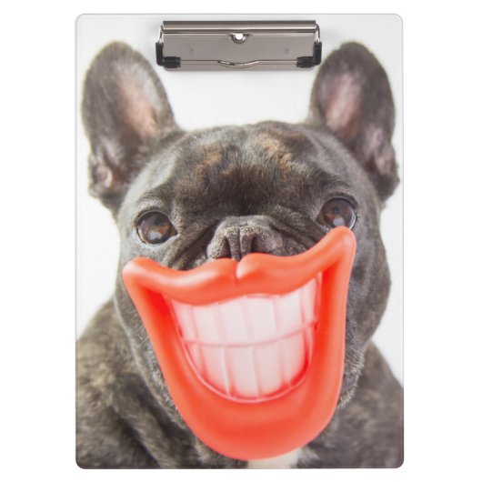 Gettyのイメージ| Aの微笑犬 クリップボード (正面)