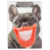 Gettyのイメージ| Aの微笑犬 クリップボード (正面)