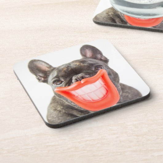 Gettyのイメージ| Aの微笑犬 コースター (左側)
