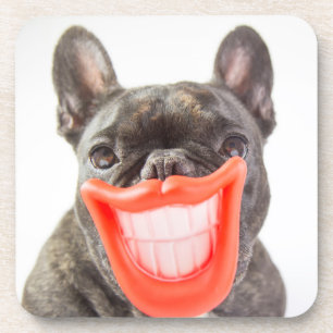 Gettyのイメージ Aの微笑犬 コースター
