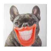 Gettyのイメージ| Aの微笑犬 タイル (正面)