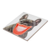 Gettyのイメージ| Aの微笑犬 タイル (側面)