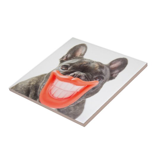 Gettyのイメージ| Aの微笑犬 タイル (側面)