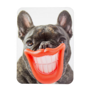 Gettyのイメージ Aの微笑犬 マグネット