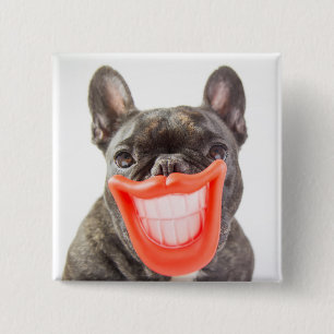 Gettyのイメージ Aの微笑犬 缶バッジ