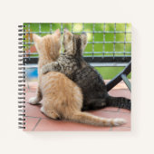 Gettyイメージ |バルコニーに出る子猫2匹 ノートブック (正面)