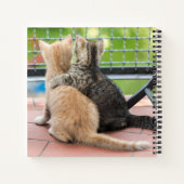 Gettyイメージ |バルコニーに出る子猫2匹 ノートブック (裏面)