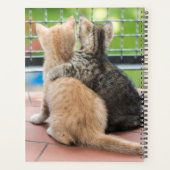 Gettyイメージ |バルコニーに出る子猫2匹 プランナー手帳 (裏面)