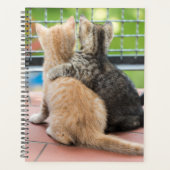 Gettyイメージ |バルコニーに出る子猫2匹 プランナー手帳 (正面)