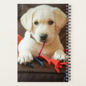 Gettyイメージ |子犬がソファに座る プランナー手帳 (裏面)