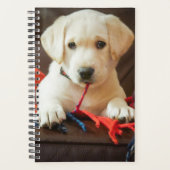 Gettyイメージ |子犬がソファに座る プランナー手帳 (正面)