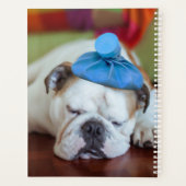 Gettyイメージ |病気の子犬 プランナー手帳 (裏面)