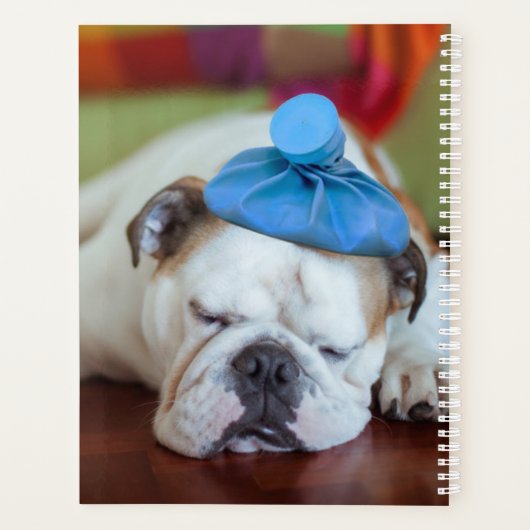 Gettyイメージ |病気の子犬 プランナー手帳 (裏面)