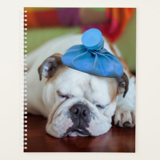 Gettyイメージ |病気の子犬 プランナー手帳 (正面)