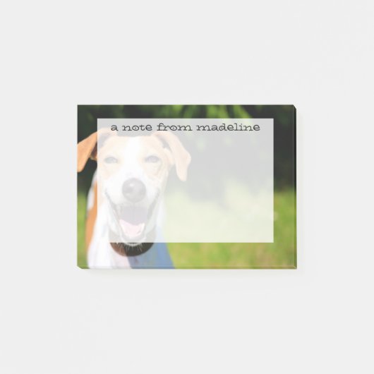 Gettyイメージ|笑う犬 ポストイット (正面)