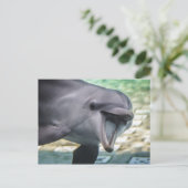 Getty Images | イルカ ポストカード (スタンド正面)