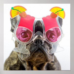 Getty Images Dog With Cocktail Glasses ポスター