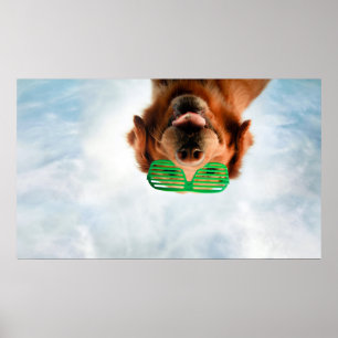 Getty Images   Dog With Glasses ポスター