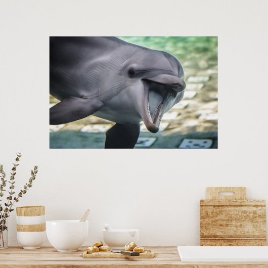 Getty Images | Dolphin ポスター (キッチン)