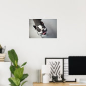 Getty Images | French Bulldog ポスター (ホームオフィス)