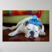 Getty Images | Sick Young Puppy ポスター (正面)