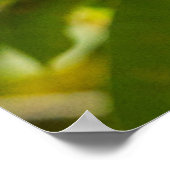 Getty Images | Upside Down Sloth ポスター (角)