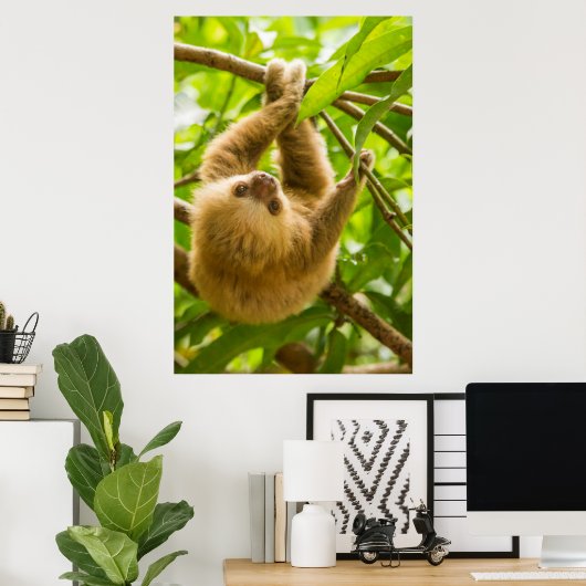Getty Images | Upside Down Sloth ポスター (ホームオフィス)