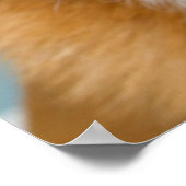 Getty Images | Very Happy Corgi ポスター (角)